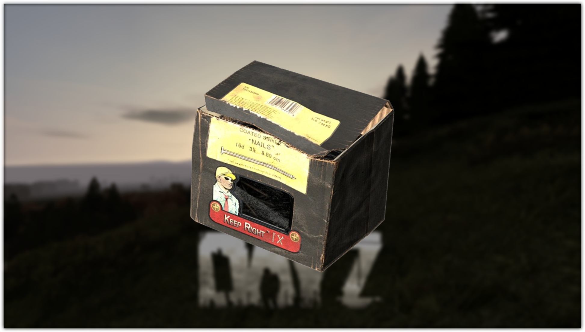x10 Cajas de clavos